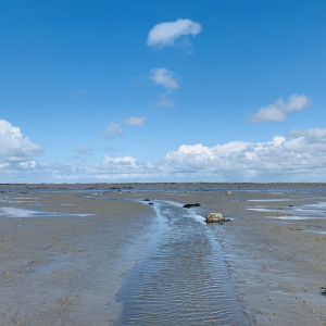 Waterweg naar de oesterbank