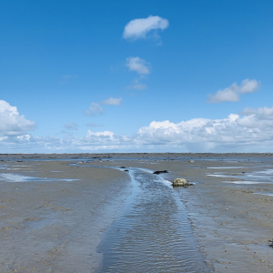 waterweg-naar-de-oesterbank